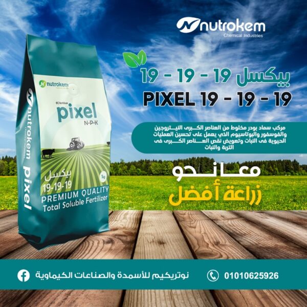 بيكسل 19 - 19 - 19