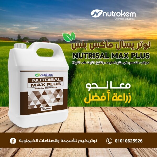 نوتر يسال ماكس بلس