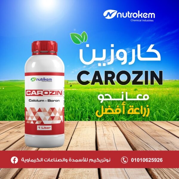 كاروزين