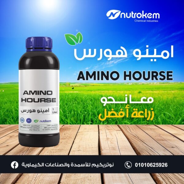 امينو هورس